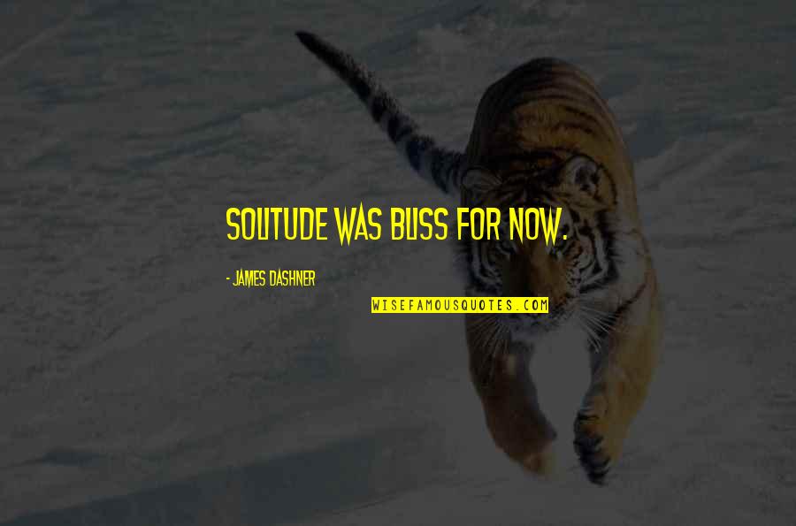 Touchables Plush Quotes By James Dashner: solitude was bliss for now.