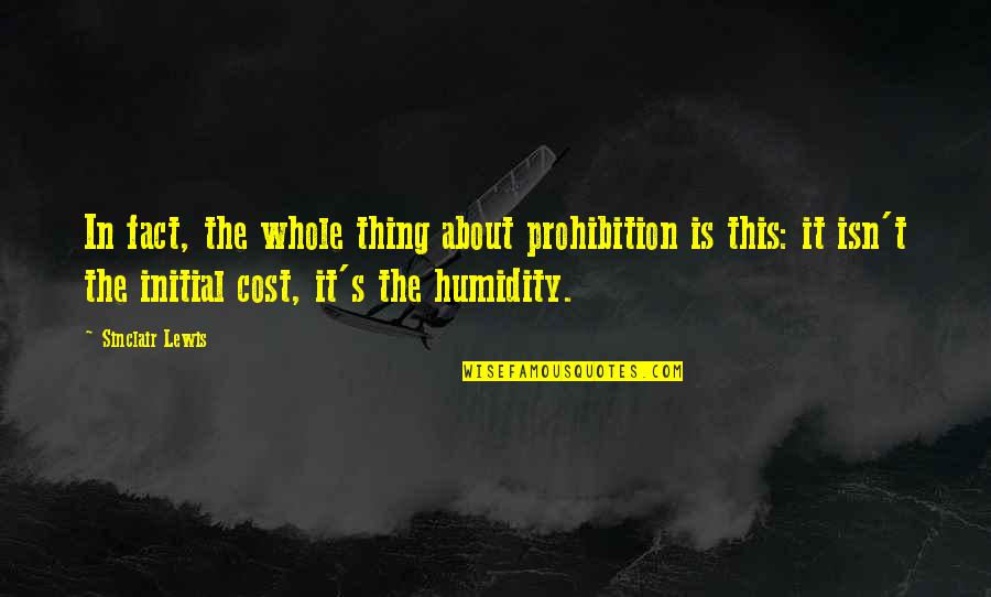 Touching Sister Birthday Quotes By Sinclair Lewis: In fact, the whole thing about prohibition is