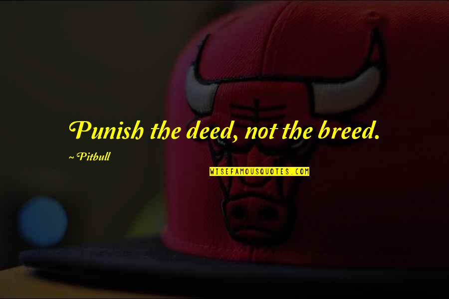 Touching Spirit Bear Garvey And Edwin Quotes By Pitbull: Punish the deed, not the breed. Touching Spirit Bear Garvey And Edwin Quotes By Pitbull: Punish the deed, not the breed.