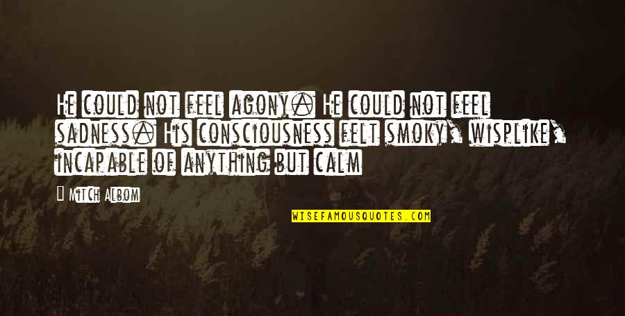 Touchline Quotes By Mitch Albom: He could not feel agony. He could not