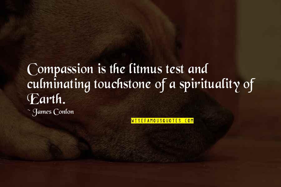 Touchstone Quotes By James Conlon: Compassion is the litmus test and culminating touchstone