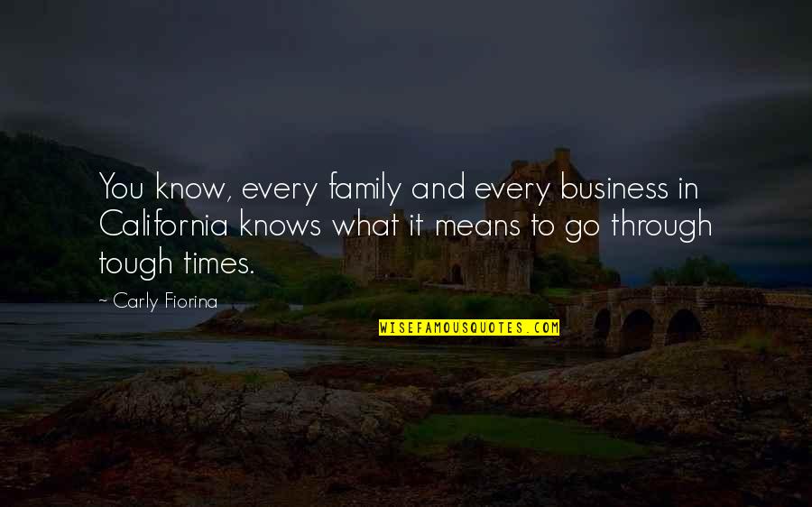 Tough Family Times Quotes By Carly Fiorina: You know, every family and every business in