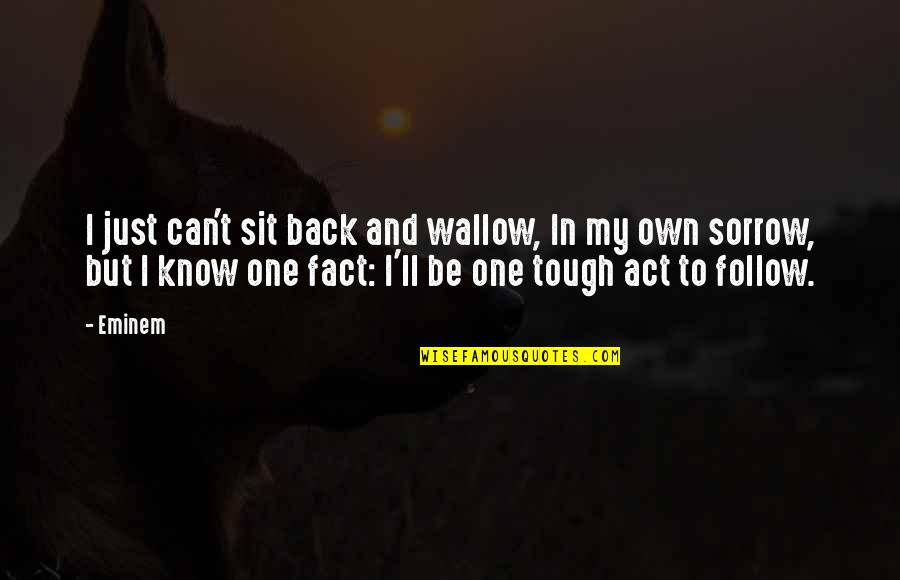 Tough One Quotes By Eminem: I just can't sit back and wallow, In