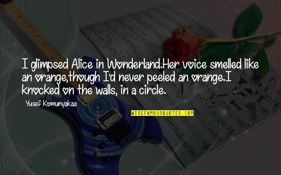 Tough Shoes To Fill Quotes By Yusef Komunyakaa: I glimpsed Alice in Wonderland.Her voice smelled like