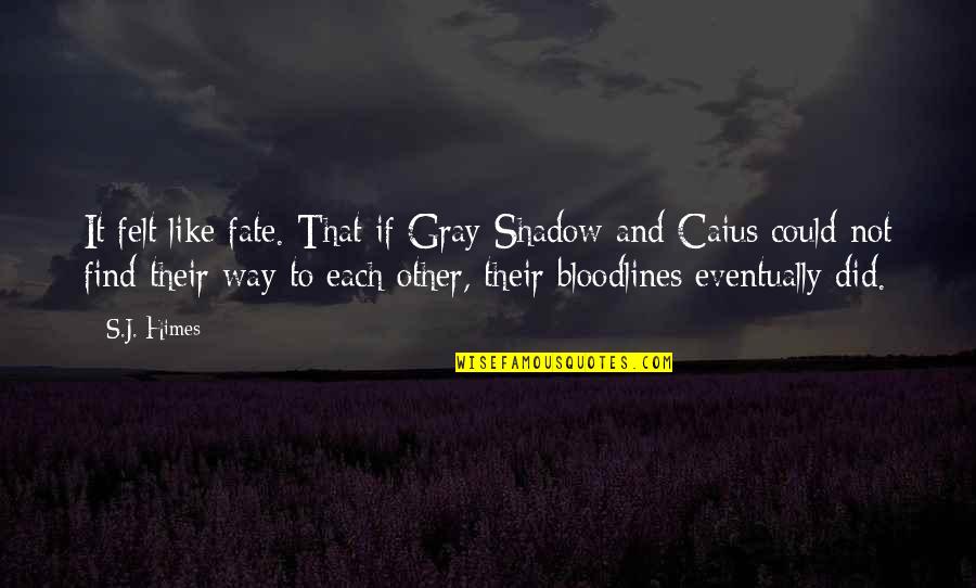 Tough Tattoo Quotes By S.J. Himes: It felt like fate. That if Gray Shadow