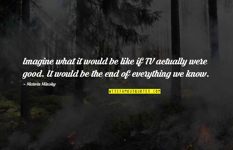 Toughest Time My Life Quotes By Marvin Minsky: Imagine what it would be like if TV