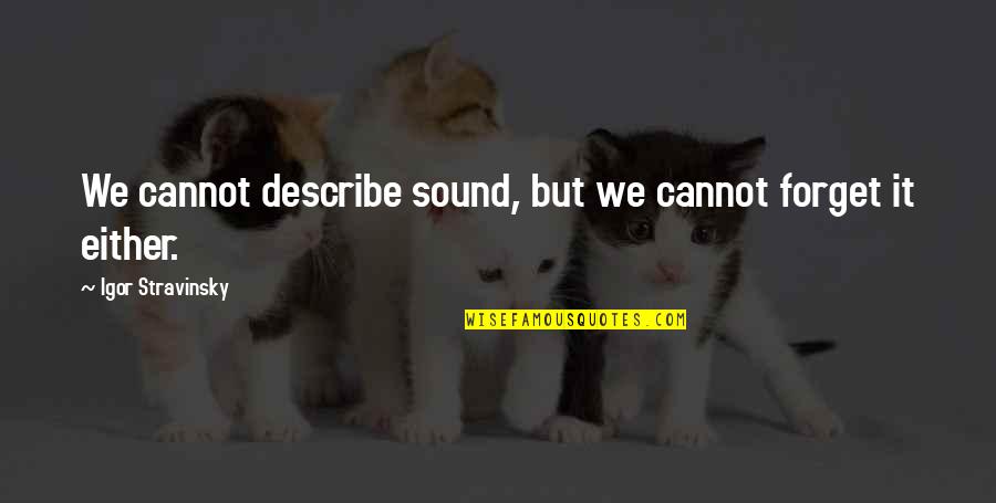 Toughest Time Of Your Life Quotes By Igor Stravinsky: We cannot describe sound, but we cannot forget Toughest Time Of Your Life Quotes By Igor Stravinsky: We cannot describe sound, but we cannot forget