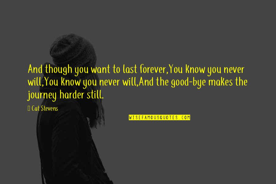 Touhou Quotes By Cat Stevens: And though you want to last forever,You know Touhou Quotes By Cat Stevens: And though you want to last forever,You know