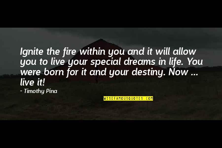 Tounkara Usa Quotes By Timothy Pina: Ignite the fire within you and it will Tounkara Usa Quotes By Timothy Pina: Ignite the fire within you and it will