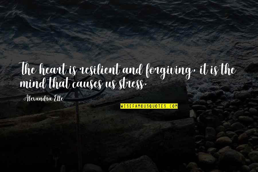 Tourbillon Quotes By Alexandra Elle: The heart is resilient and forgiving, it is