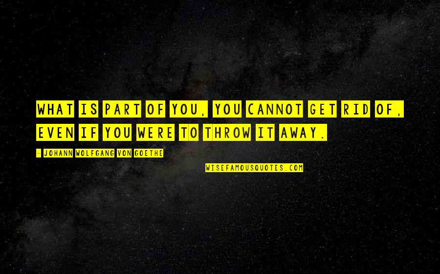 Tournure De Phrase Quotes By Johann Wolfgang Von Goethe: What is part of you, you cannot get