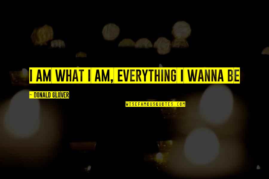Tourtellotte Quotes By Donald Glover: I am what I am, everything I wanna