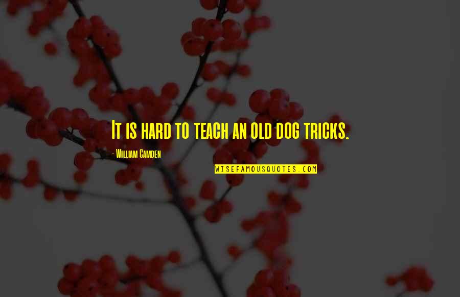 Tovarich In Russian Quotes By William Camden: It is hard to teach an old dog Tovarich In Russian Quotes By William Camden: It is hard to teach an old dog