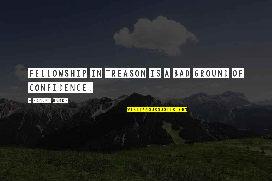 Towel Made In Japan Quotes By Edmund Burke: Fellowship in treason is a bad ground of