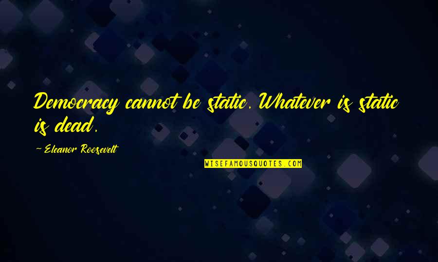 Tower Of Joy Quotes By Eleanor Roosevelt: Democracy cannot be static. Whatever is static is