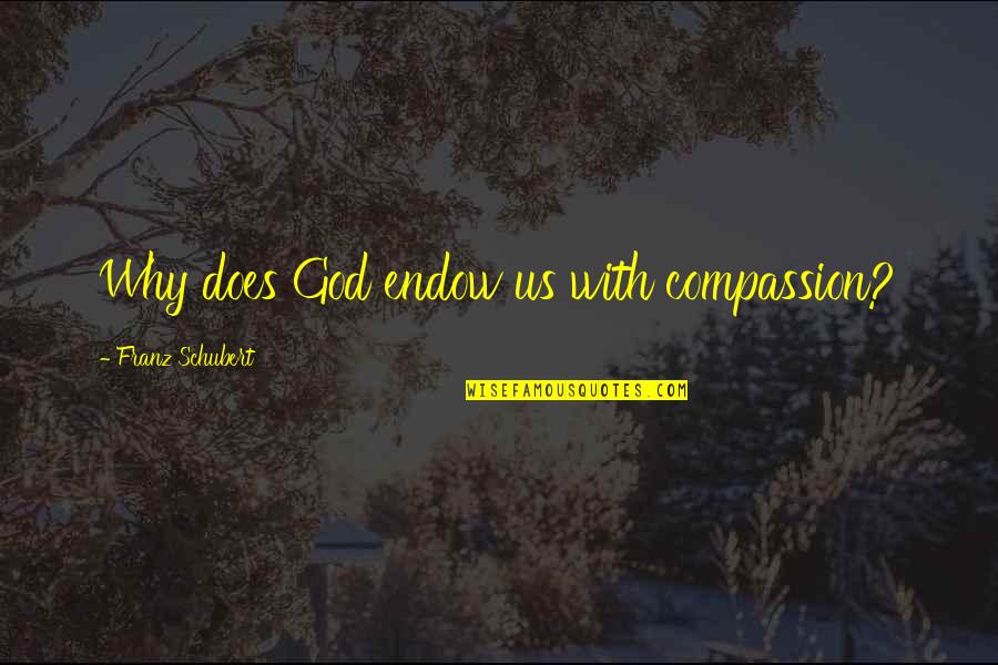 Toy Like Lol Quotes By Franz Schubert: Why does God endow us with compassion?