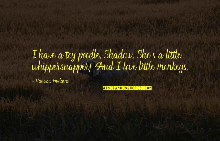 Toy Poodle Quotes By Vanessa Hudgens: I have a toy poodle, Shadow. She's a