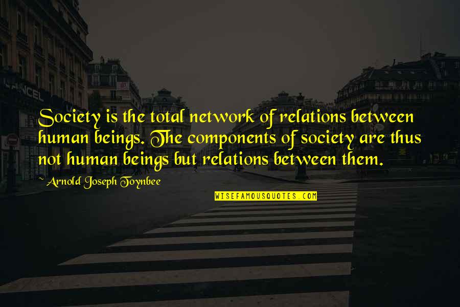 Toynbee's Quotes By Arnold Joseph Toynbee: Society is the total network of relations between