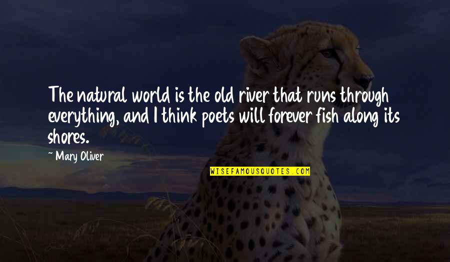 Toyota Service Quotes By Mary Oliver: The natural world is the old river that