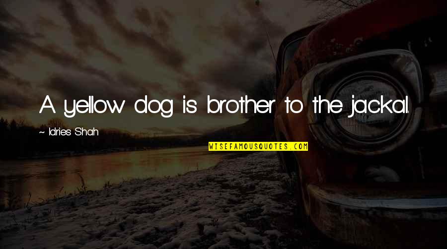 Tr672 Quotes By Idries Shah: A yellow dog is brother to the jackal.