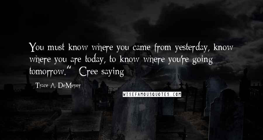 Trace A. DeMeyer quotes: You must know where you came from yesterday, know where you are today, to know where you're going tomorrow." -Cree saying