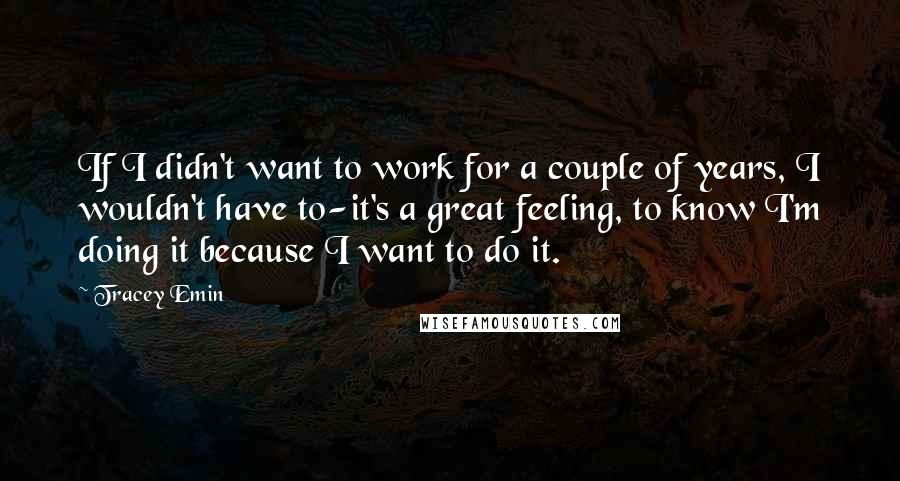 Tracey Emin quotes: If I didn't want to work for a couple of years, I wouldn't have to-it's a great feeling, to know I'm doing it because I want to do it.