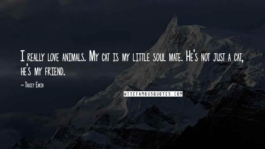 Tracey Emin quotes: I really love animals. My cat is my little soul mate. He's not just a cat, he's my friend.