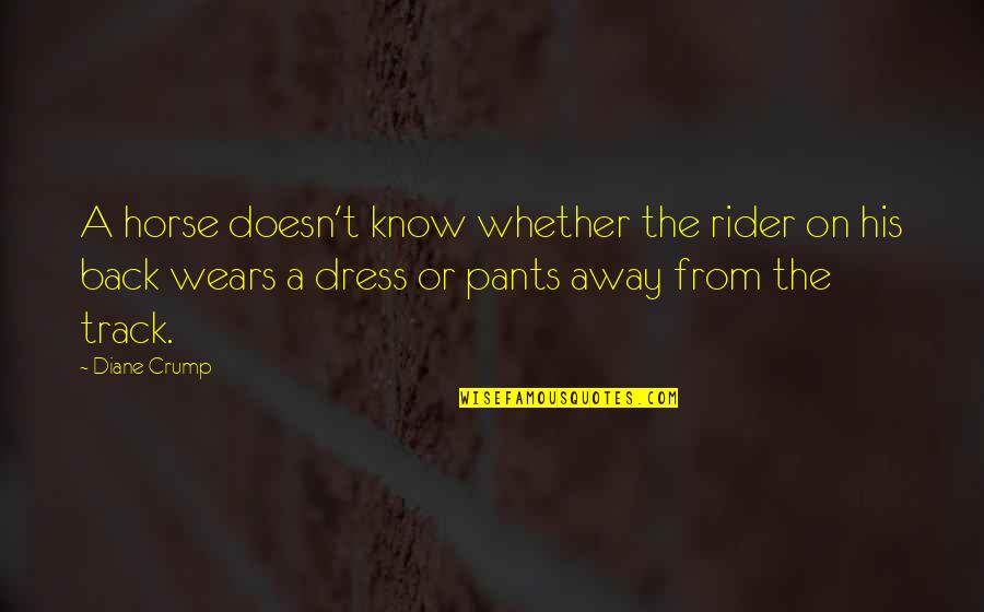 Track Pants Quotes By Diane Crump: A horse doesn't know whether the rider on