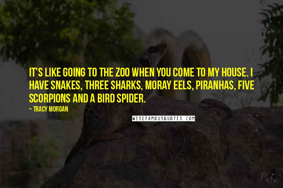 Tracy Morgan quotes: It's like going to the zoo when you come to my house. I have snakes, three sharks, moray eels, piranhas, five scorpions and a bird spider. Tracy Morgan quotes: It's like going to the zoo when you come to my house. I have snakes, three sharks, moray eels, piranhas, five scorpions and a bird spider.