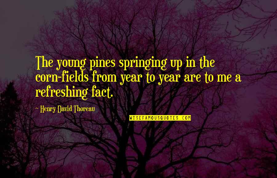 Trad Climbing Quotes By Henry David Thoreau: The young pines springing up in the corn-fields
