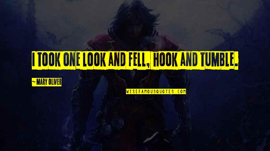 Tradition Being Bad Quotes By Mary Oliver: I took one look and fell, hook and Tradition Being Bad Quotes By Mary Oliver: I took one look and fell, hook and