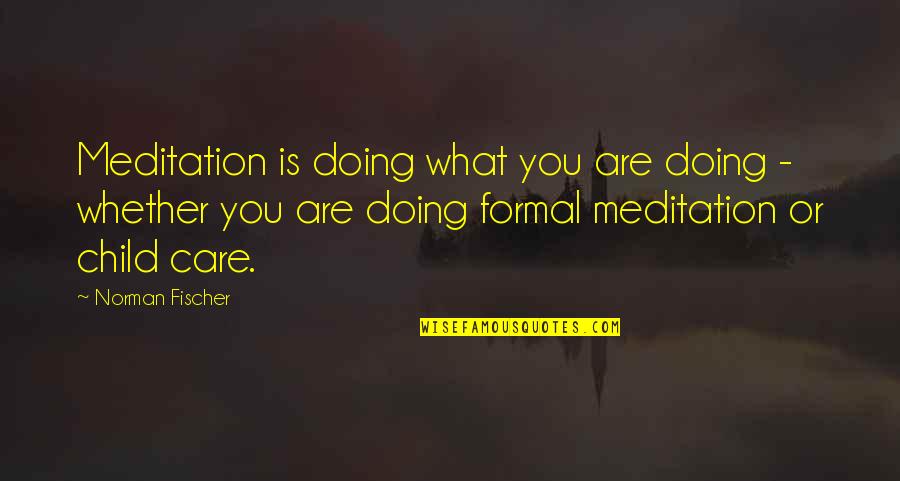 Trafico De Influencias Quotes By Norman Fischer: Meditation is doing what you are doing - Trafico De Influencias Quotes By Norman Fischer: Meditation is doing what you are doing -