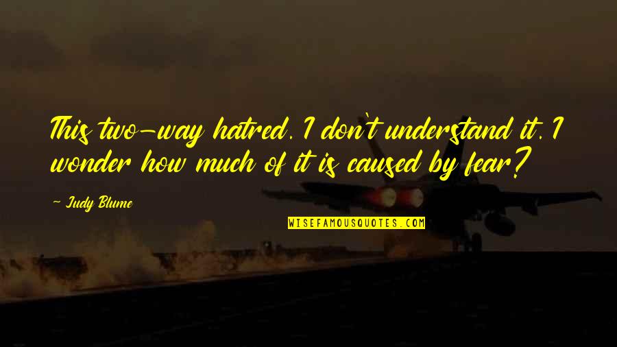 Tragedy And Death Quotes By Judy Blume: This two-way hatred. I don't understand it. I