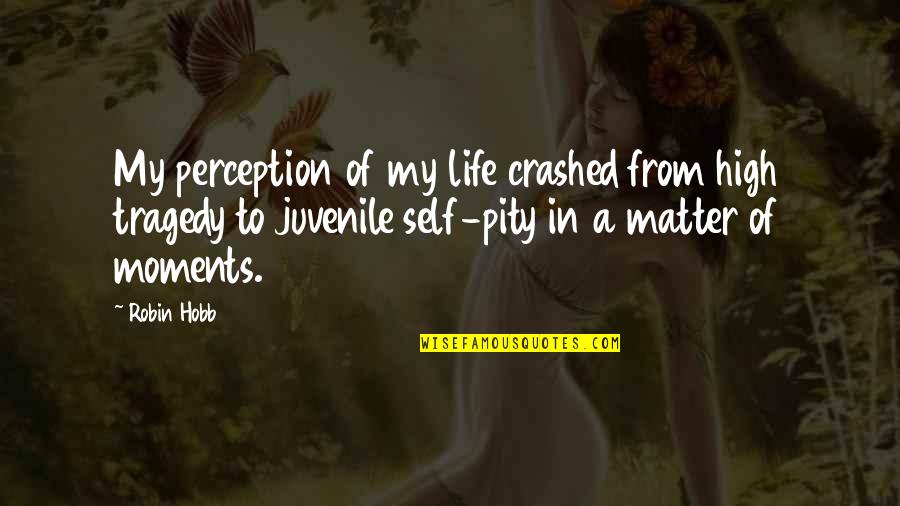 Tragedy In Life Quotes By Robin Hobb: My perception of my life crashed from high Tragedy In Life Quotes By Robin Hobb: My perception of my life crashed from high