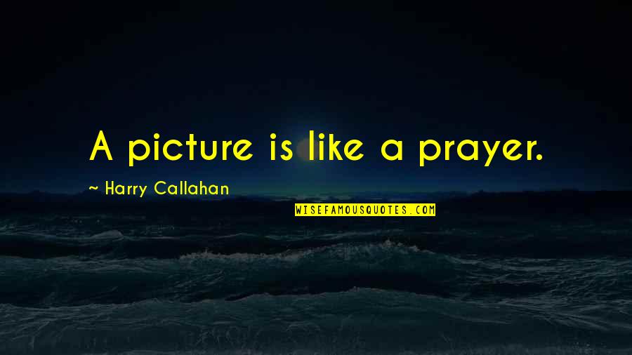 Tragegy Quotes By Harry Callahan: A picture is like a prayer.