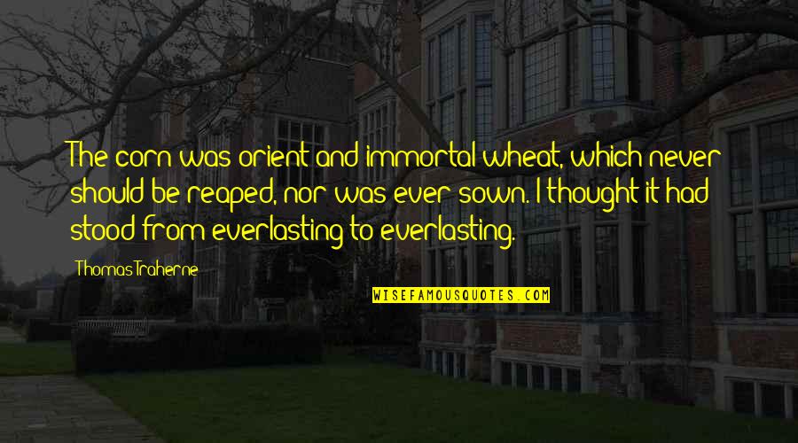 Traherne Quotes By Thomas Traherne: The corn was orient and immortal wheat, which Traherne Quotes By Thomas Traherne: The corn was orient and immortal wheat, which