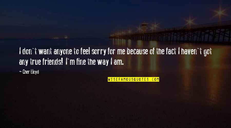 Traidora Cancion Quotes By Cher Lloyd: I don't want anyone to feel sorry for Traidora Cancion Quotes By Cher Lloyd: I don't want anyone to feel sorry for