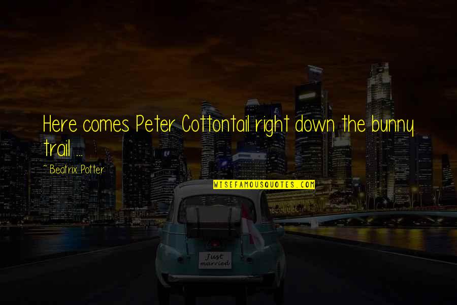 Trails Quotes By Beatrix Potter: Here comes Peter Cottontail right down the bunny Trails Quotes By Beatrix Potter: Here comes Peter Cottontail right down the bunny