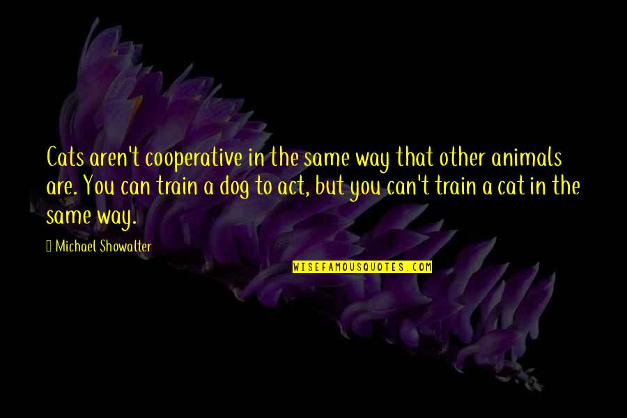 Train But Quotes By Michael Showalter: Cats aren't cooperative in the same way that