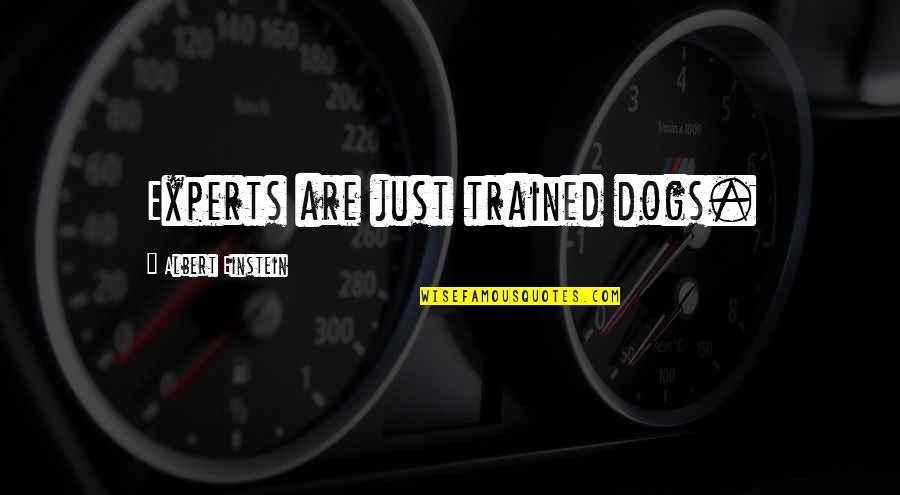 Trained Dog Quotes By Albert Einstein: Experts are just trained dogs.