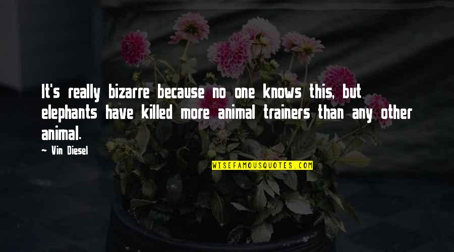 Trainers Quotes By Vin Diesel: It's really bizarre because no one knows this,