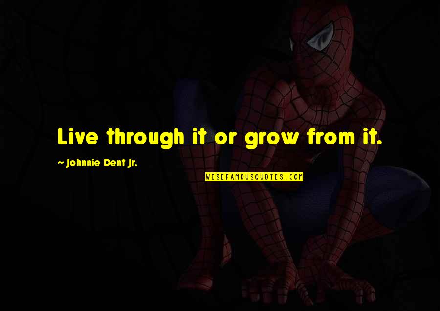 Training And Success Quotes By Johnnie Dent Jr.: Live through it or grow from it. Training And Success Quotes By Johnnie Dent Jr.: Live through it or grow from it.