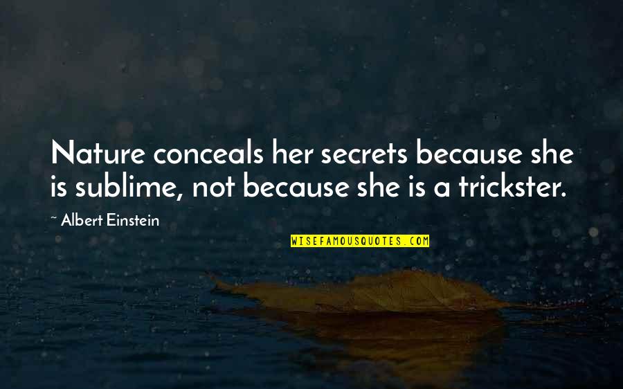 Trainings Quotes By Albert Einstein: Nature conceals her secrets because she is sublime, Trainings Quotes By Albert Einstein: Nature conceals her secrets because she is sublime,