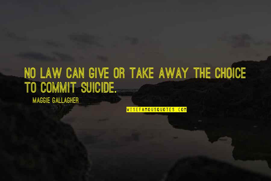 Trainingspak Quotes By Maggie Gallagher: No law can give or take away the