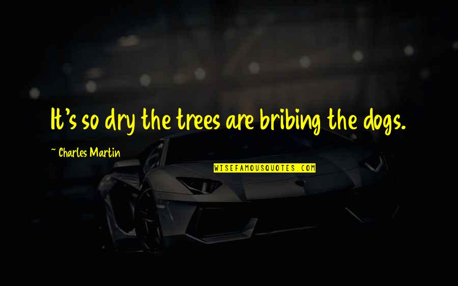Trajo Africano Quotes By Charles Martin: It's so dry the trees are bribing the Trajo Africano Quotes By Charles Martin: It's so dry the trees are bribing the
