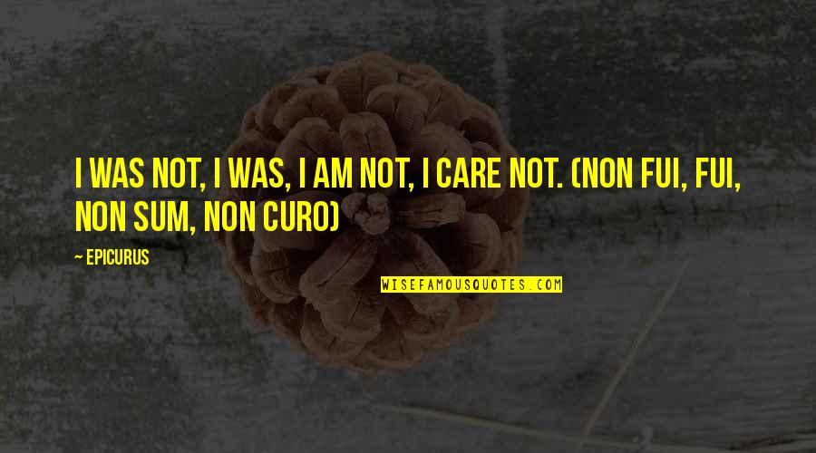 Tralla 26 Quotes By Epicurus: I was not, I was, I am not,