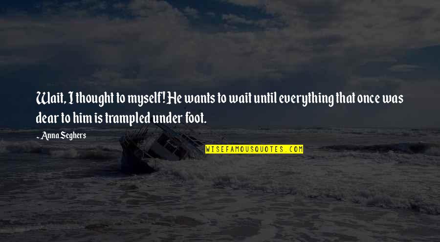 Trampled Quotes By Anna Seghers: Wait, I thought to myself! He wants to