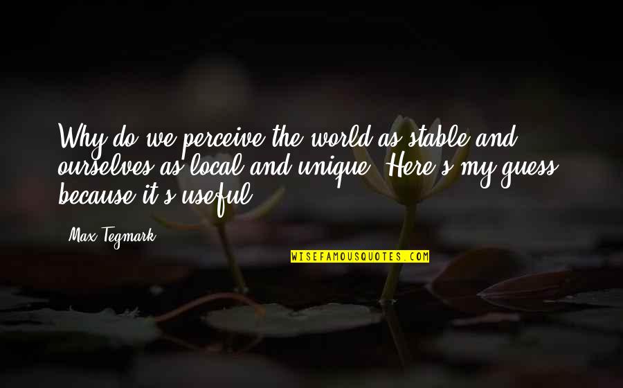 Tramutola Upper Quotes By Max Tegmark: Why do we perceive the world as stable Tramutola Upper Quotes By Max Tegmark: Why do we perceive the world as stable