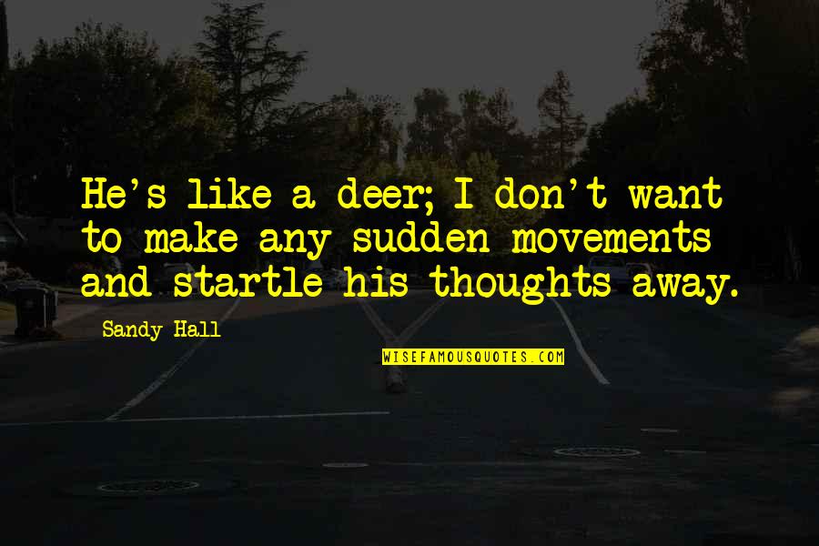Trancas's Quotes By Sandy Hall: He's like a deer; I don't want to Trancas's Quotes By Sandy Hall: He's like a deer; I don't want to