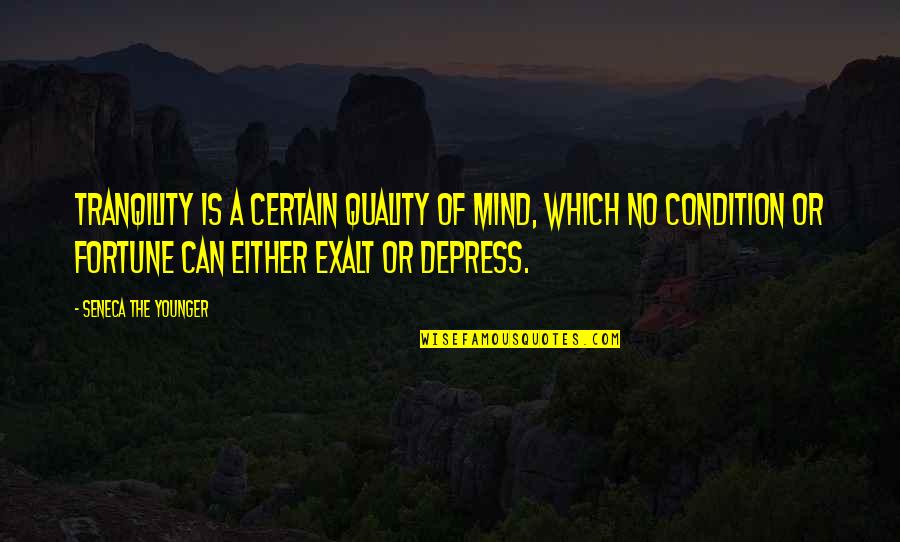 Tranqility Quotes By Seneca The Younger: Tranqility is a certain quality of mind, which